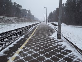 Przystanek Augustów Port 